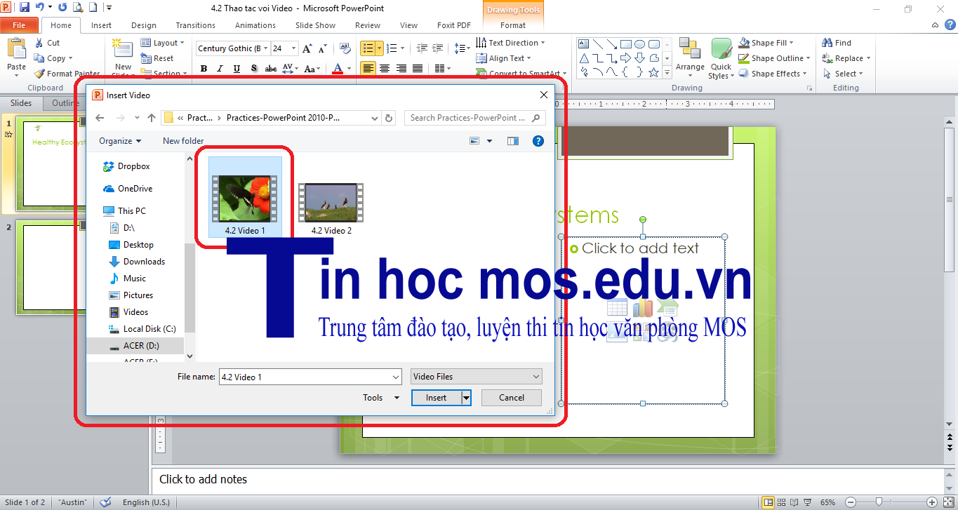 chen video trong powerpoint