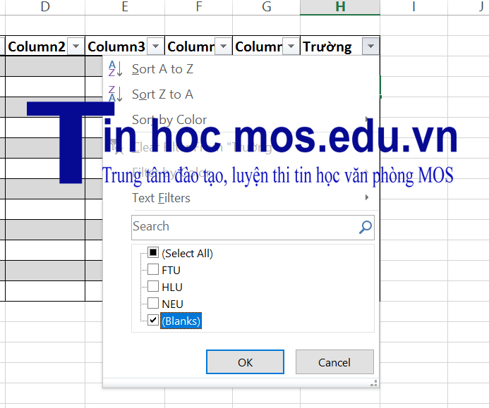 meo dung excel 3