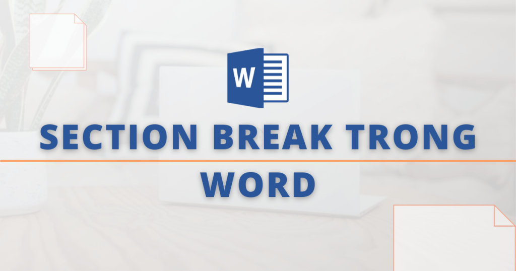 section break trong word