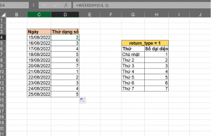 chuyển ngày thành thứ trong Excel