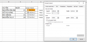 checkbox trong Excel