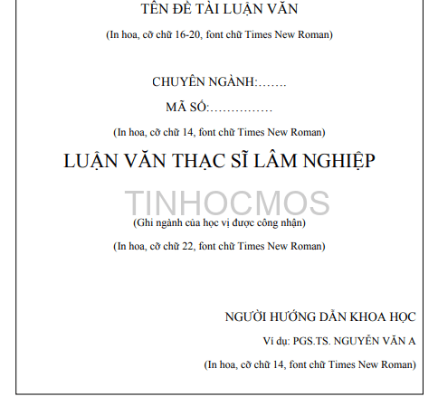 Bìa phụ