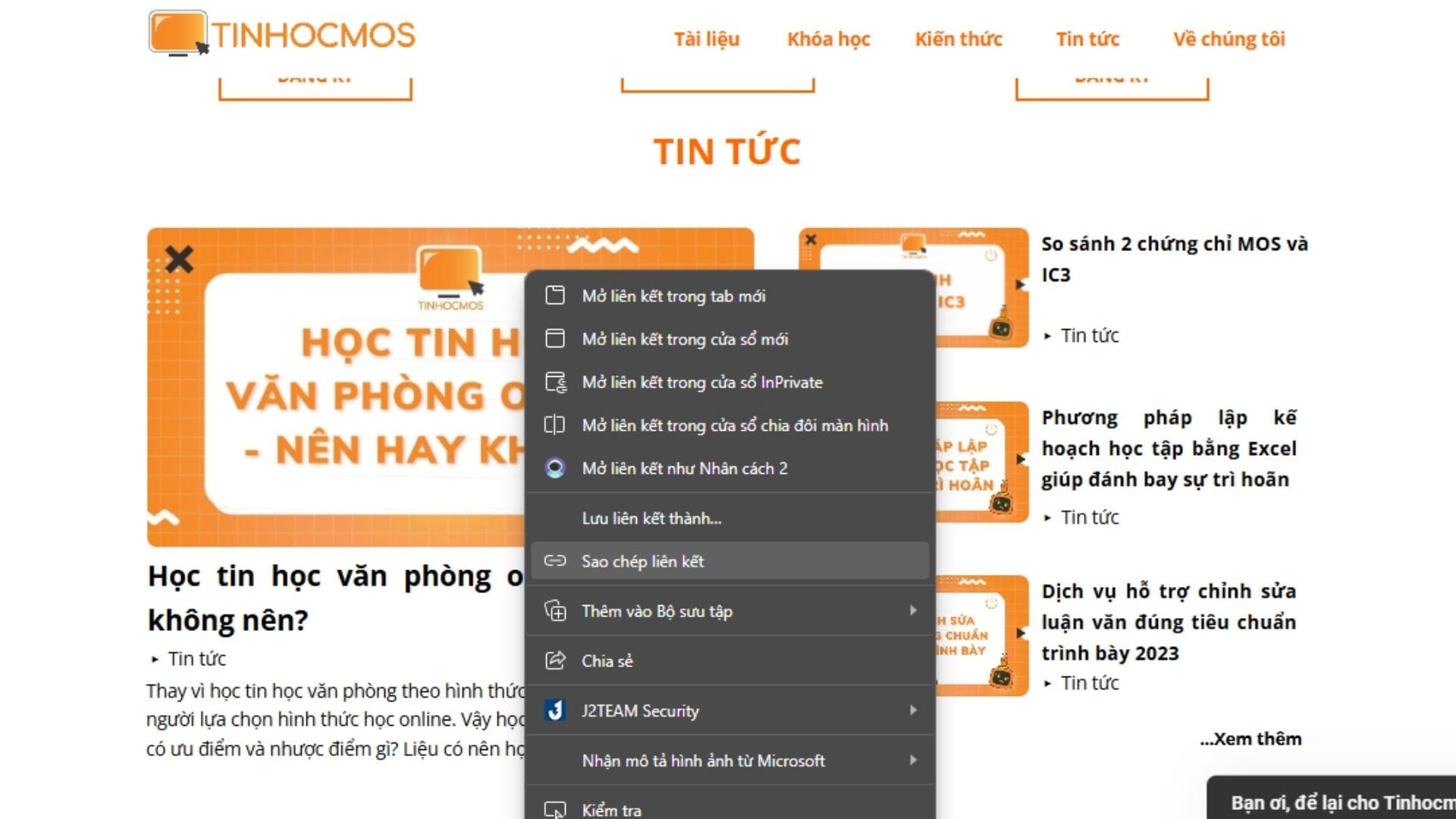 Cách chèn hình ảnh từ web vào Excel bằng cách sao chép liên kết